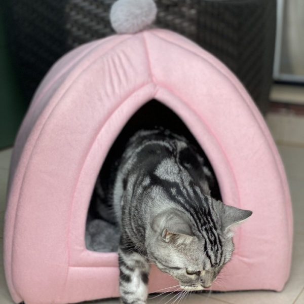 All-season semi-enclosed non-deformable warm pet house for cats and dogs