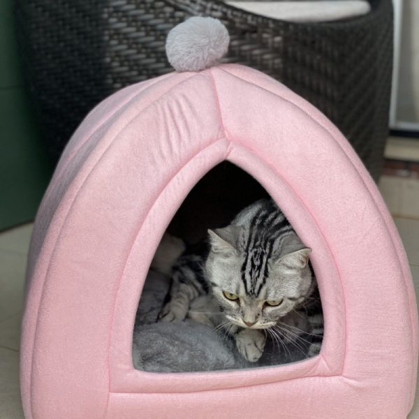 All-season semi-enclosed non-deformable warm pet house for cats and dogs