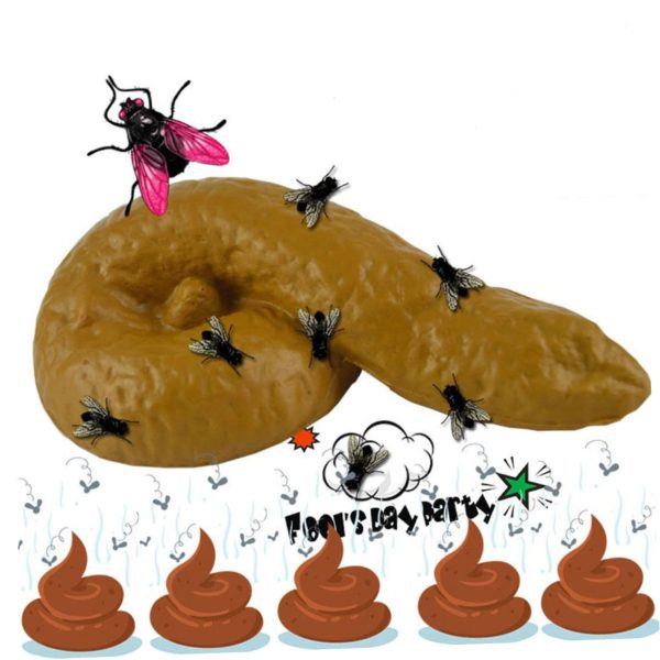 11pcs Halloween Fly Poop Prank Prop