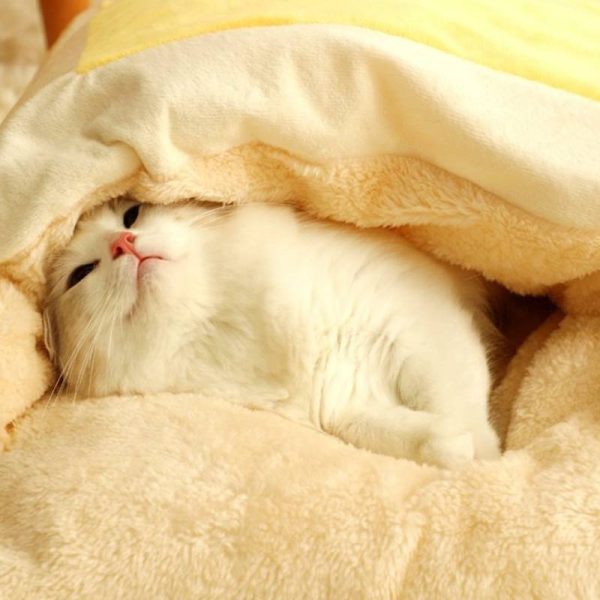 Winter sleeping bag style cute warm cat nest